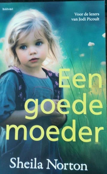 Een goede moeder 9789044395754 Sheila Norton, Verzenden, Sheila Norton