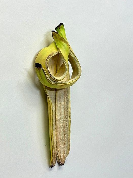 Koji Kasatani - Thinking Banana, Antiek en Kunst, Kunst | Designobjecten