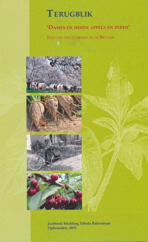 Dames en heren appels en peren / Terugblik / 16 Emile Smit, Boeken, Overige Boeken, Gelezen, Verzenden
