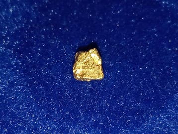 Massief kwaliteitsjuweel - Goudnugget - Yukon Goud nugget -