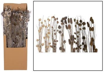Deco pine stick Naturel 95-100 cm assorti geleverd