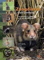 Zoogdieren van Limburg 9789074508162 N. Huizenga, Verzenden, N. Huizenga