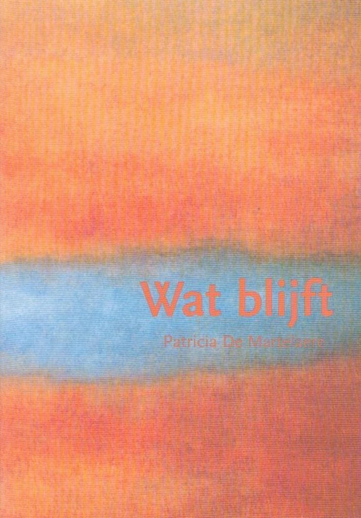 Wat blijft 9789080698611 Patricia de Martelaere, Boeken, Filosofie, Zo goed als nieuw, Verzenden