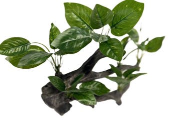Planten op hout 28cm OS-226 - aquarium decoratie, Ophalen of Verzenden
