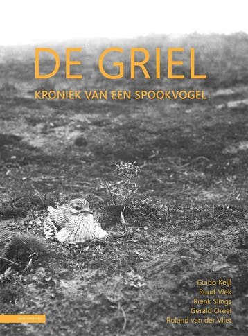De Griel 9789050117357 Rienk Slinks, Verzenden, Zo goed als nieuw, Rienk Slinks
