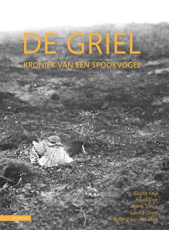 De Griel 9789050117357 Rienk Slinks, Boeken, Hobby en Vrije tijd, Zo goed als nieuw, Verzenden
