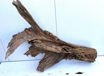 Osaka XL192 uniek aquarium decoratie hout  145x115x40cm, Ophalen of Verzenden, Plant(en), Steen of Hout
