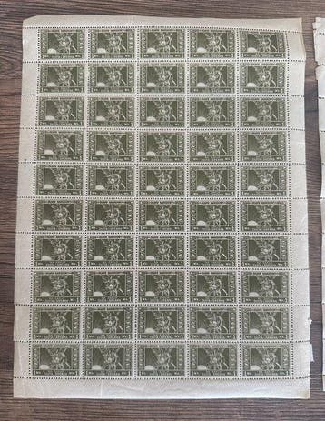 Polen 1920/1924 - Polen 1920/24 fiscale postzegels - Skarb, Postzegels en Munten, Gestempeld