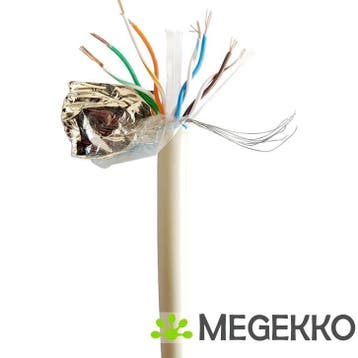 Gembird CAT6 FTP 100m - [FPC-6004-L/100], Verzenden