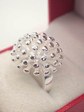 Zonder minimumprijs - Ring Zilver, Zilveren ring .925, Bijoux, Sacs & Beauté