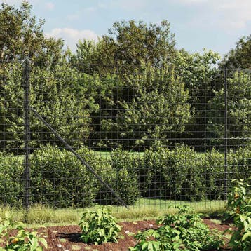 vidaXL Draadgaashek met flens 1,4x25 m antracietkleurig, Verzenden, Nieuw