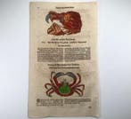 Conrad Gessner [d. 1565] - Marine life: Spider & Heracleo