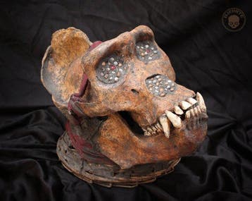 Ngil of gorilla-schedel (Fang) Schedel - OJEARTE - 24 cm -, Antiek en Kunst