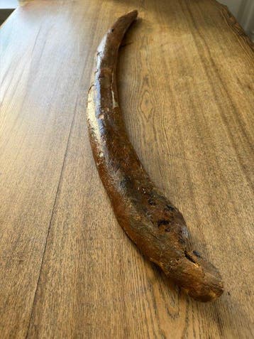 Wolharige mammoet - Fossiele rib - Mammuthus primigenius -