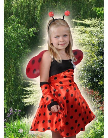 Lieveheersbeestje, Ophalen of Verzenden, Nieuw