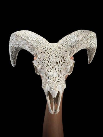 SANS PRIX DE RÉSERVE - Crâne de bélier blanc sculpté avec
