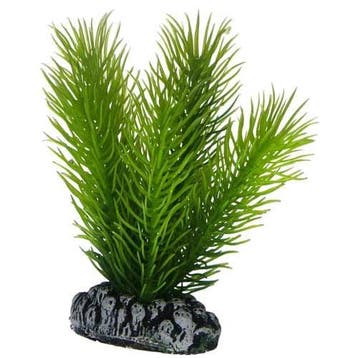 Osaka aquarium kunst plant Mayaca 7cm art. 584, Ophalen of Verzenden, Nieuw, Plant(en), Steen of Hout