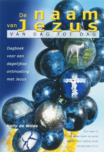 De naam van Jezus van dag tot dag / Evanne 9789057982149, Verzenden, Zo goed als nieuw, N. de Wilde