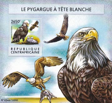 Centraal Afrika - 2015 - Roofvogels - Postfris, Postzegels en Munten, Verzenden, Postfris, Dier of Natuur