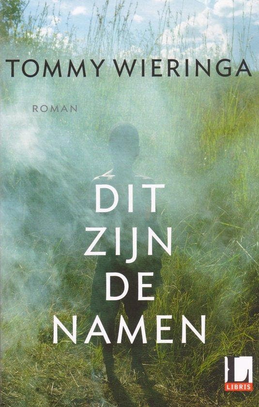 Dit zijn de namen 9789403110202 Tommy Wieringa, Boeken, Romans, Gelezen, Verzenden