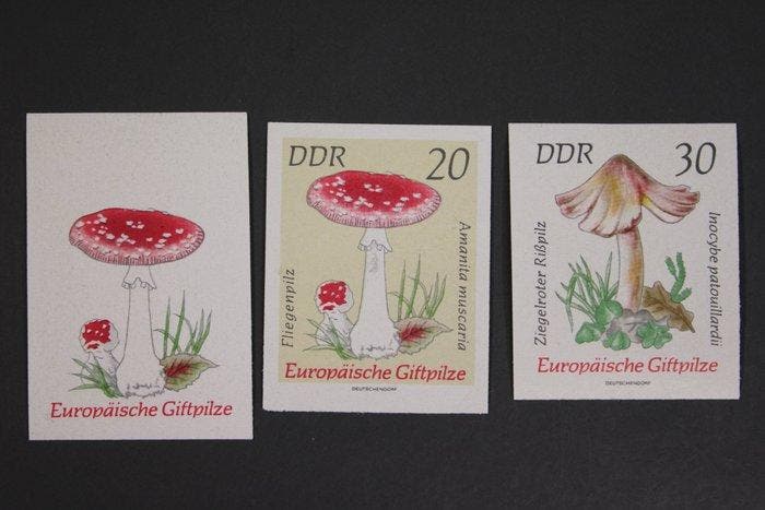 Duitse Democratische Republiek (DDR) - kleine verzameling, Postzegels en Munten, Postzegels | Europa | Duitsland