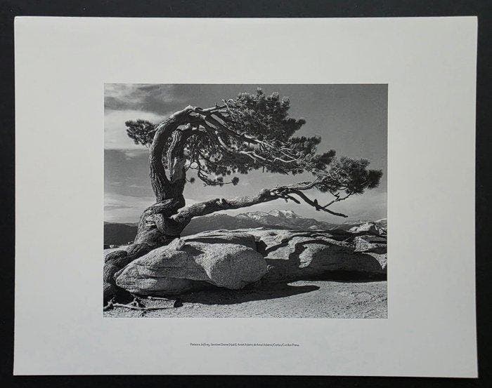 Ansel Adams (1902–1984) - 2 tirages : Jeffrey Pine,, Antiquités & Art, Art | Objets design