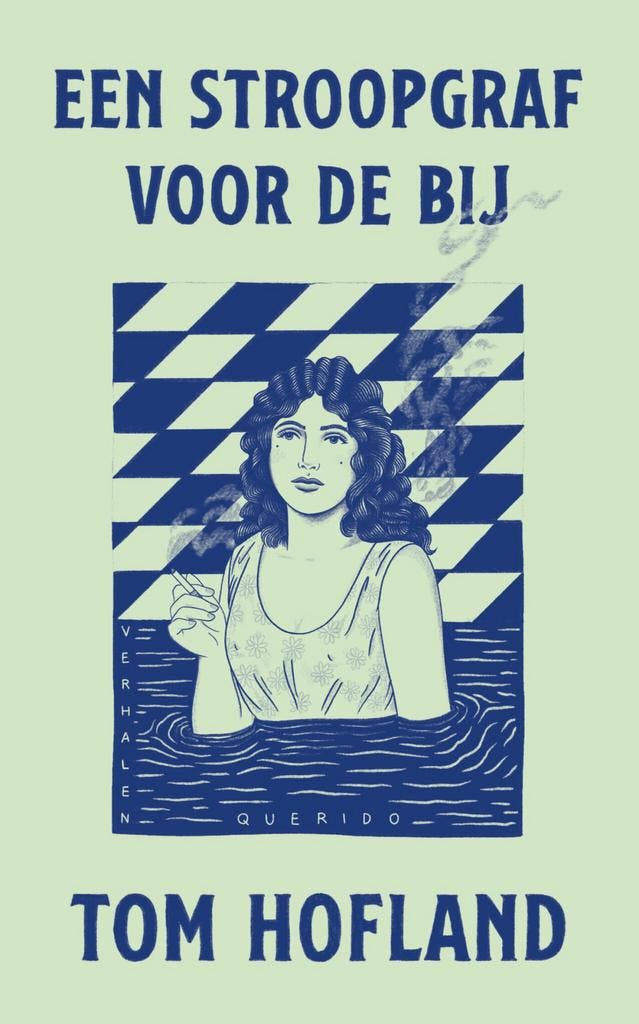 Een stroopgraf voor de bij (9789021475561, Tom Hofland), Livres, Romans, Envoi