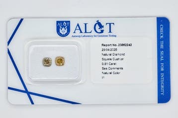 Zonder minimumprijs - 2 pcs Diamant (Natuurlijk) - 0.81 ct -, Nieuw