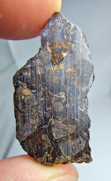 Tin Begane 001 Pallasietmeteoriet - 3.38 g