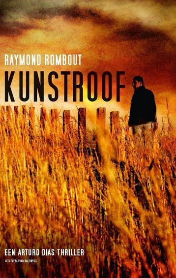 Kunstroof / Arturo Dias / 1 9789461311009 Raymond Rombout, Verzenden, Zo goed als nieuw, Raymond Rombout