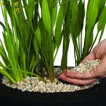 Afdeksteentjes velda vijvergrind pond gravel 4-6 mm pot 2, Nieuw