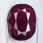 Rood Toermalijn - 69.30 ct - nternational Colored Gemstone, Nieuw