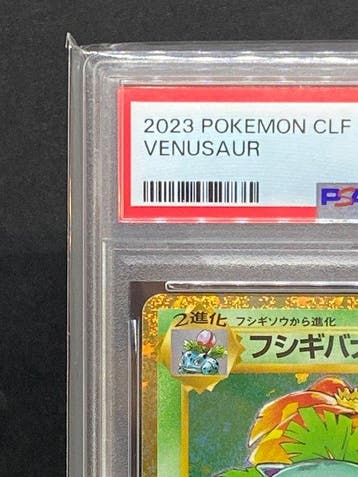 Pokémon - 1 Graded card - Venusaur #003/032 Foil - PSA 10, Nieuw