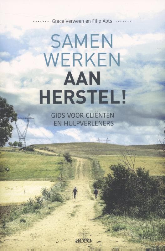 Samen werken aan herstel! 9789462921771 Filip Abts, Boeken, Psychologie, Zo goed als nieuw, Verzenden