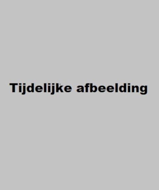 Moderne kunst 9789051570861 E. Lucie-Smith, Boeken, Kunst en Cultuur | Beeldend, Gelezen, Verzenden