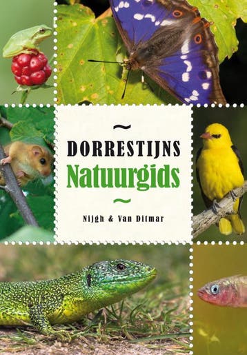 Dorrestijns natuurgids 9789038893471 Hans Dorrestijn, Verzenden, Hans Dorrestijn