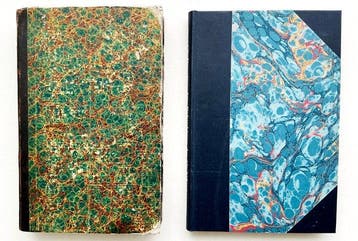 Franz Unger / Charles Darwin - Anatomie und Physiologie der