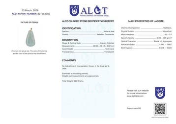 Geen Reserve - ALGT Gecertificeerd - Grote en Zeer