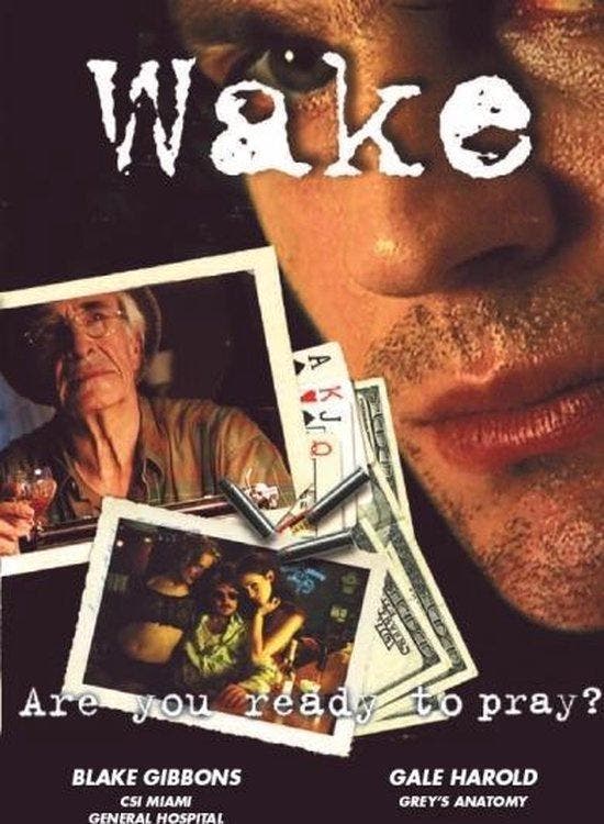 Wake (dvd nieuw), CD & DVD, DVD | Action, Enlèvement ou Envoi