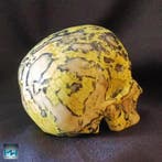 Taille van een menselijke schedel gemaakt op, Verzamelen, Mineralen en Fossielen