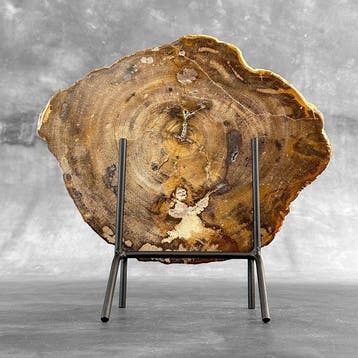 Prachtige snede van versteend hout op een op maat gemaakte