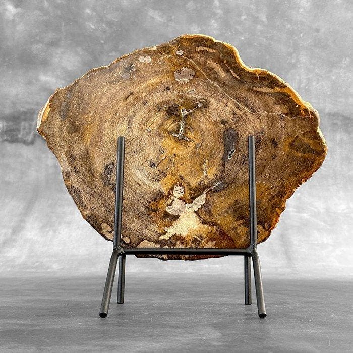 Prachtige snede van versteend hout op een op maat gemaakte, Antiquités & Art, Art | Objets design