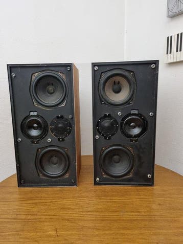 Bang & Olufsen - Zeldzame Beovox 4702, de