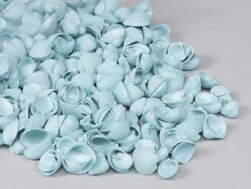 Clamrose schelpen Blue washed 1 kilo, Nieuw