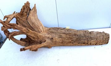 Osaka XL219 uniek aquarium decoratie hout  160x75x65cm, Ophalen of Verzenden, Plant(en), Steen of Hout