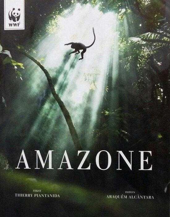 Amazone - Piantanida, Livres, Livres Autre, Envoi