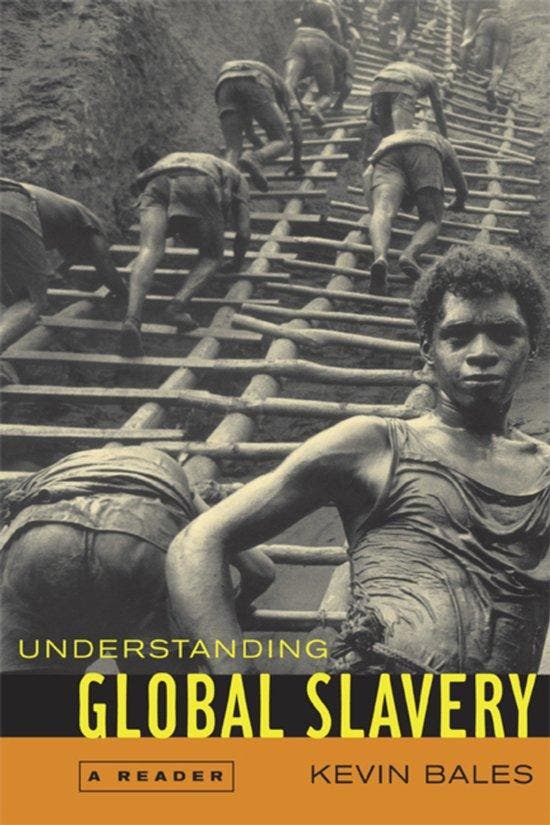 Understanding Global Slavery 9780520245075 Kevin Bales, Livres, Langue | Anglais, Envoi
