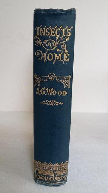 Rev. J. G. Wood / E. A. Smith / J. B. Zwecker / G. Pearson -