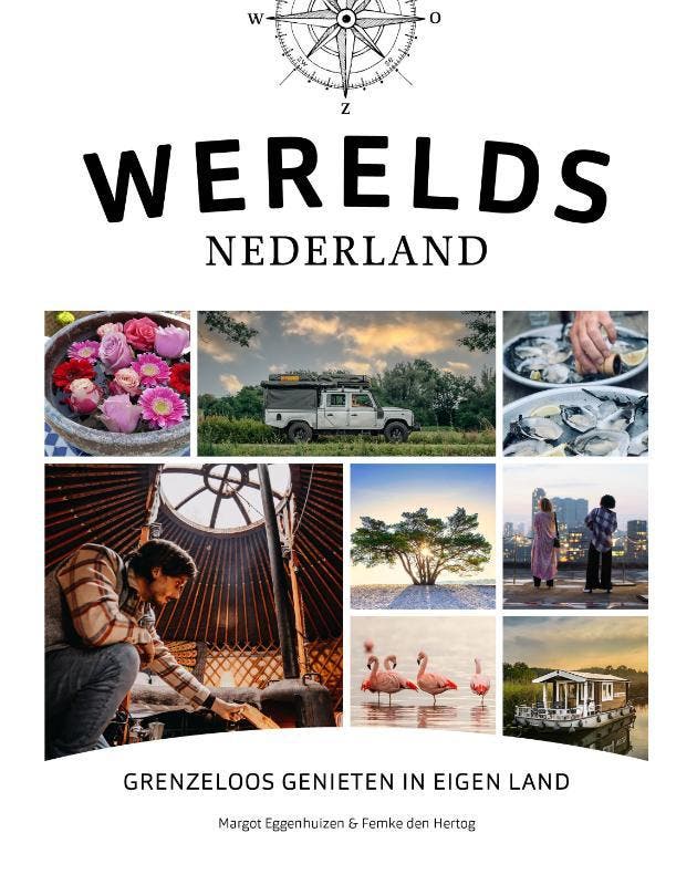 Werelds Nederland 9789018049164 Femke den Hertog, Boeken, Reisgidsen, Gelezen, Verzenden