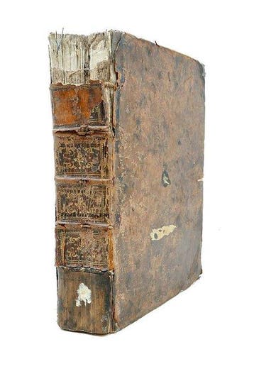 Antoine-Joseph Dezallier dArgenville - Histoire naturelle